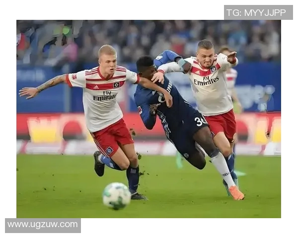 汉堡队保级奇迹德甲新赛季再上巅峰